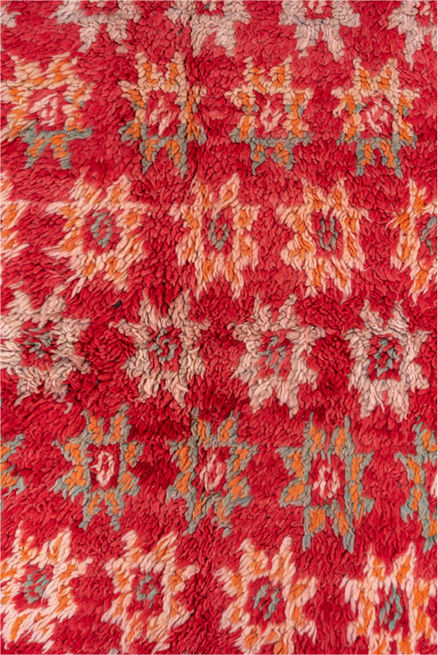 Vintage Moroccan Area Rug (6' x 9')